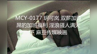 MCY-0177 玥可岚 双薪加巨屌的加班福利 淫浪骚人满天下 麻豆传媒映画