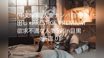 (中文字幕)人妻ナンパ自宅中出し×PRESTIGE PREMIUM 欲求不満な人妻5名in目黒・新宿 01