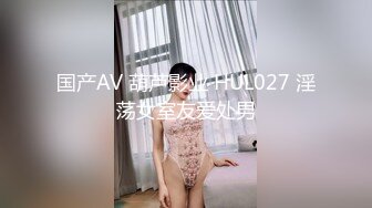 国产AV 葫芦影业 HUL027 淫荡女室友爱处男