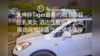 大神胖Tiger最新约啪 D罩杯巨乳美女 酒店性爱服务 舌吻摸奶调情舔逼 上位骑坐猛操骚穴