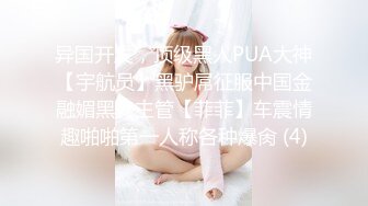 异国开发，顶级黑人PUA大神【宇航员】黑驴屌征服中国金融媚黑女主管【菲菲】车震情趣啪啪第一人称各种爆肏 (4)