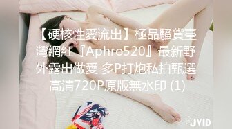 【硬核性愛流出】極品騷貨臺灣網紅『Aphro520』最新野外露出做愛 多P打炮私拍甄選 高清720P原版無水印 (1)