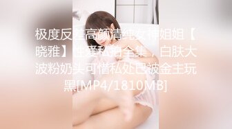 极度反差高颜清纯女神姐姐【晓雅】性爱私拍全集，白肤大波粉奶头可惜私处已被金主玩黑[MP4/1810MB]