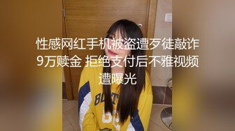 性感网红手机被盗遭歹徒敲诈9万赎金 拒绝支付后不雅视频遭曝光