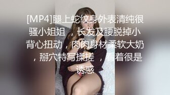 [MP4]腿上蛇纹身外表清纯很骚小姐姐 ，长发及腰脱掉小背心扭动，肉肉身材柔软大奶 ，掰穴特写揉搓 ，看着很是诱惑