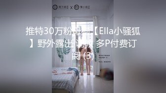 推特30万粉母狗【Ella小骚狐】野外露出 调教 多P付费订阅 (3)