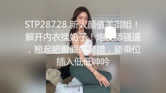 STP28728 新人颜值美御姐！解开内衣揉奶子！炮友舔骚逼，翘起肥臀假屌磨蹭，骑乘位插入低低呻吟