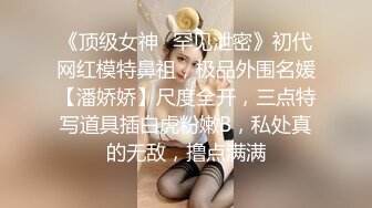 [MP4]果冻传媒-一夜情酒吧酒吧艳遇的美女居然是女友的姐姐-林凤娇