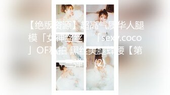 【绝版资源】超高气质华人腿模「女神丝丝」「sexy.coco」OF私拍 黑丝美腿蜂腰【第三弹】 (2)