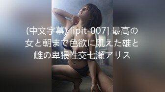 (中文字幕) [ipit-007] 最高の女と朝まで色欲に飢えた雄と雌の卑猥性交七瀬アリス