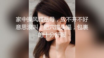 韩国高质量黑丝高跟情侣「henry_sera」「sarah579」OF私拍 小穴隔着网袜在大肉棒下摩擦忍不住要插进去