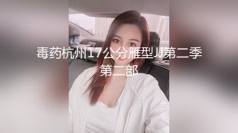 毒药杭州17公分雁型JJ第二季第二部