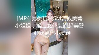 [MP4]另类玩法SM调教美臀小姐姐，换上女仆装翘起美臀，肛塞尾巴小皮鞭