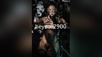 heyzo-2900